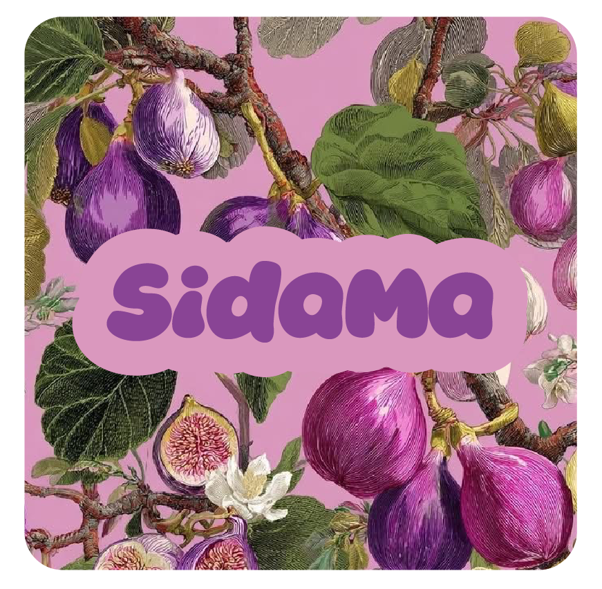 Pocket Espresso · Sidama