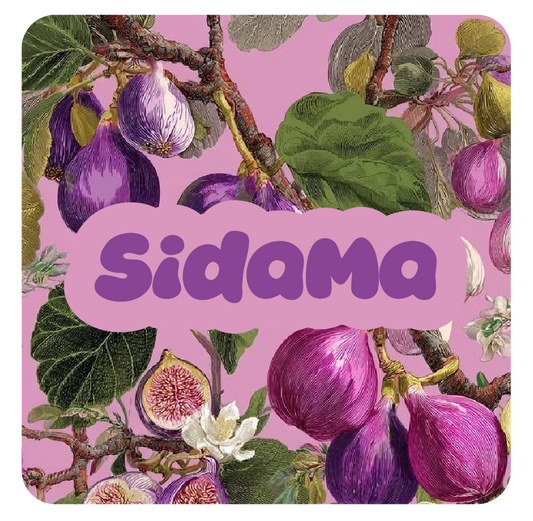 Pocket Espresso · Sidama