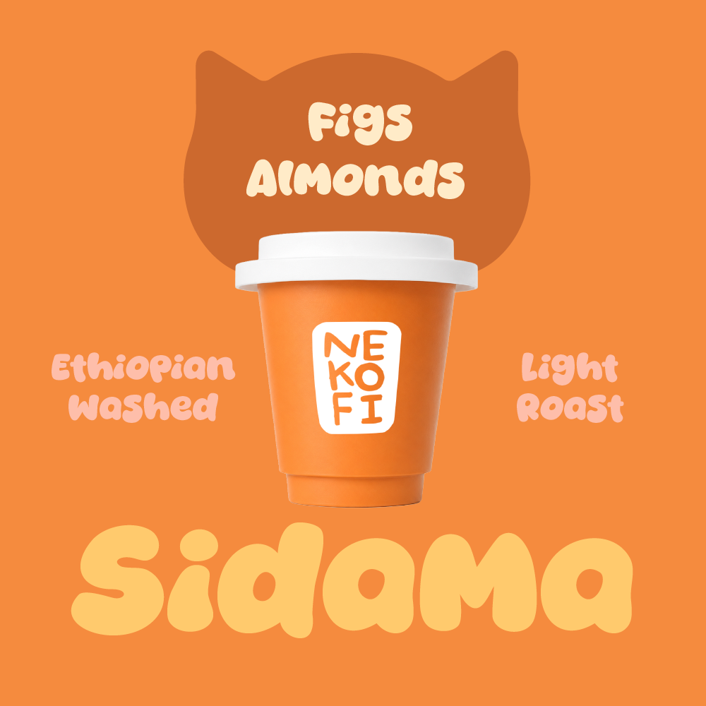Light Roasted Sidama